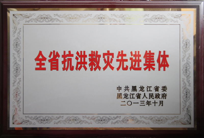 全省抗洪救災(zāi)先進集體