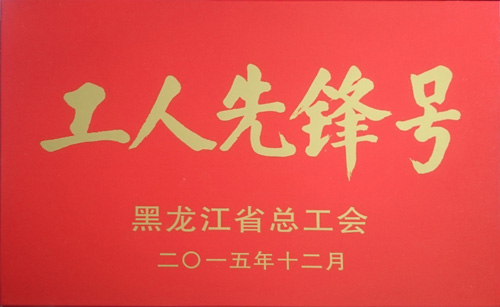 黑龍江省水利水電集團(tuán)沖填工程有限公司第五分公司獲“工人先鋒號(hào)”榮譽(yù)稱號(hào)