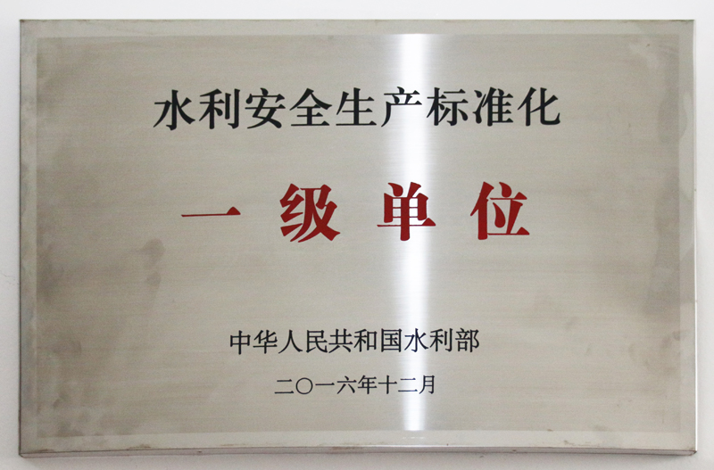 水利安全生產(chǎn)標(biāo)準(zhǔn)化一級(jí)單位