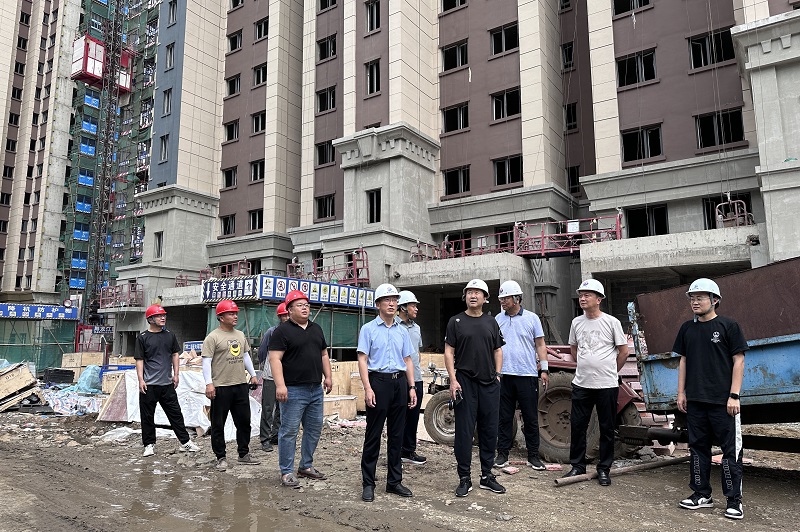 沖填公司領(lǐng)導(dǎo)班子深入在建項目開展安全檢查