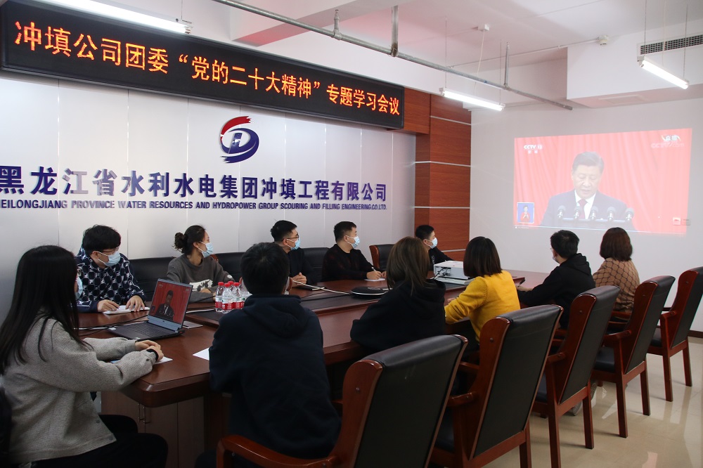 沖填公司團委組織召開黨的二十大精神專題學習座談會議